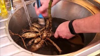 How to Store Dahlia Tubers Over Winter [upl. by Arded252]