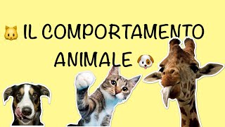 Il comportamento animale  etologia imprinting Konrad Lorenz [upl. by Yrelbmik]