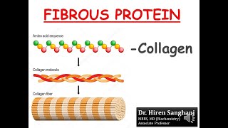 Biochemistry of Collagen  Structure II Synthesis II Associated disorders [upl. by Adgam]