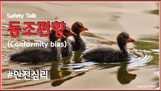 안전심리6 동조 편향Conformity bias [upl. by Aitsirk]