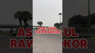 Asal usul rawa bokor [upl. by Fechter]