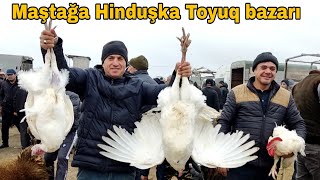 MAŞTAĞA  Hinduşka Toyuq bazarı 25122022 [upl. by Ellener]