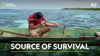 Source of Survival  Primal Survivor  हिन्दी  National Geographic [upl. by Grogan259]