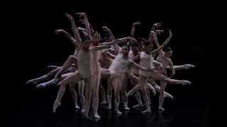 Gauthier DanceDance Company Theaterhaus Stuttgart ELEMENTS  Trailer [upl. by Nnyled]