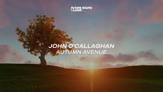 John OCallaghan  Autumn Avenue [upl. by Enej]