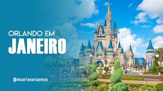 ORLANDO EM JANEIRO  lotação dos parques clima eventos [upl. by Golub501]