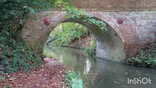 Basingstoke Canal reels sarvajitnm trending song youtube trending feed feedshorts walking [upl. by Eyllek733]