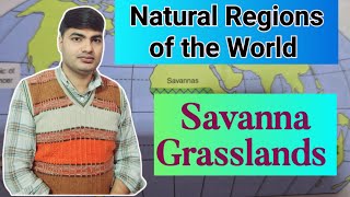 Savanna Grasslands। Natural Regions of the World Class 9 ICSE [upl. by Shel343]