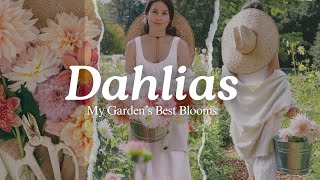 Harvest Dahlias with Me A Day in my Garden  Vlog [upl. by Hitchcock923]