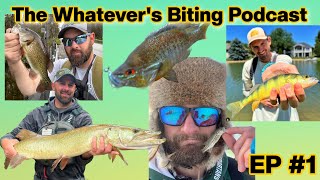 Here We Are Episode 1 of The Whatevers Biting Podcast [upl. by Nytnerb]