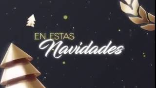 ID Navidad Venevision 2017 [upl. by Irene121]