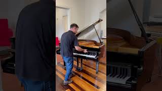 Piano de cauda Fritz Dobbert acabou de chegar e já tá te esperando aqui ❤️🎹🎶 piano pianodecauda [upl. by Arbas10]