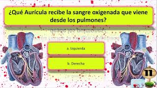 Cuanto sabes Sistema Circulatorio Test [upl. by Leunas]