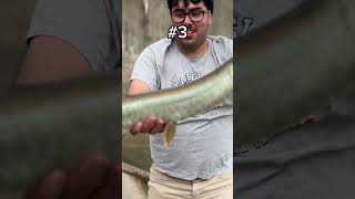 10 MUSKIES IN 3 DAYS FULL VID LINKED ABOVE [upl. by Eugeniusz513]