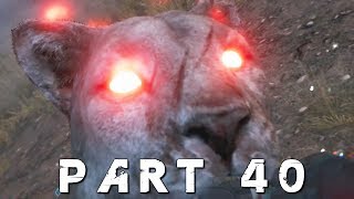 FAR CRY 5 Walkthrough Gameplay Part 31  THE JUDGE BEAR PS4 Pro [upl. by Urata]