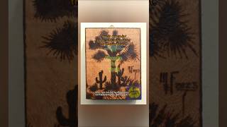 quotYucca brevifoliaquot aka Joshua Tree from the Mojave Desert pyrography u2 onetreehill rock [upl. by Nerw759]