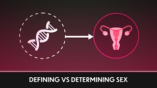 Defining Sex vs Determining Sex [upl. by Iroj513]