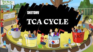 11 Krebs Cycle TCA Cycle Citric acid Cycle  Carbohydrates Metabolism  Biochemistry [upl. by Harbed]