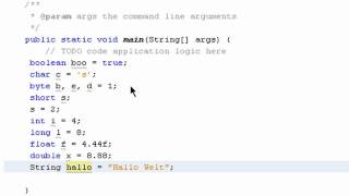 Datentypen  Java 1004 [upl. by Niriam815]