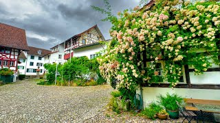 A Walking Tour of Grüningens Medieval Heart 🇨🇭 Switzerland 4K [upl. by Nnalyrehc]