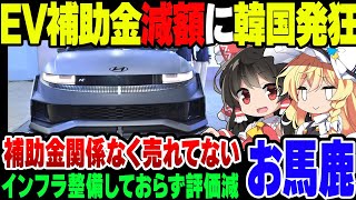 日本のEV補助金減額に発狂する韓国現代自動車【ゆっくり解説】 [upl. by Leonard495]