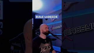 WASSYL  Białe łabędzie cover [upl. by Faludi]