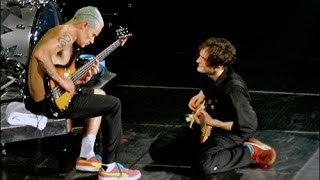 Red Hot Chili Peppers  Californication Live Intro Jams with Josh Klinghoffer [upl. by Honig]