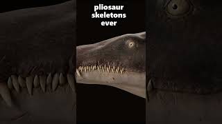 New Giant Pliosaur Discovered [upl. by Harriett]