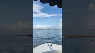 POOVAR ISLAND poovar poovarisland backwatersofkerala travel travelvlog sea sunset boating [upl. by Herold535]