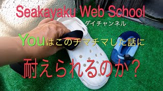 ちまちました話しをチマチマと話しています、高い高価なパドリングシューズの話ではなく、、アタシがスクールで使っていた、安価で使いやすいシューズについてお話しします [upl. by Ocicnarf183]