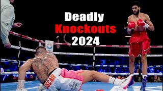 Deadly Boxing Knockouts of 2024 [upl. by Ancier463]