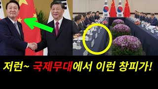 ◆APEC 한중 정상회담의 부끄러운 장면 [upl. by Roslyn]