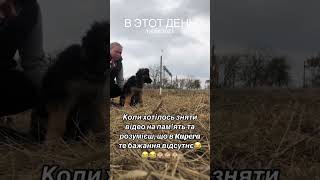 Щоб зняти повне відео завжди було купа експромтів 😆😆😆 [upl. by Chester]