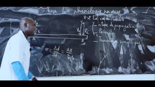 Cours  Terminale  SVT  La Physiologie nerveuse suite 6 [upl. by Hoxsie]