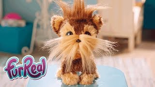 FurReal  Shaggy Shawn Official Teaser [upl. by Crispas41]