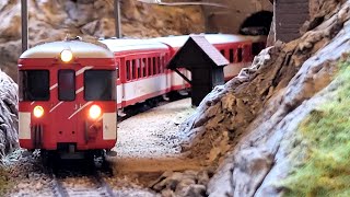 Modelleisenbahn H0m des quotCAMM EXPOquot in La Tour de Peilz 13042024 [upl. by Dorie]