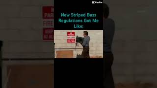 New East Coast Striped Bass Regulations shorts fish fishing [upl. by Annim]