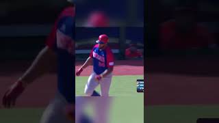 🇩🇴💥 Carlos Pegueros monstrous Home Run  2019 Premier12 [upl. by Aikam]