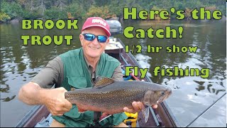 Htc 03 12 Fly fishing Brook Trout [upl. by Ladd]