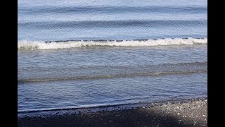 Qualicum Beach Park [upl. by Caro]