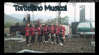 Torbellino Musical  El Riatazo [upl. by Hillyer980]