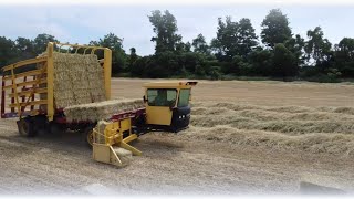 The Beauty of Rye Straw Harvest [upl. by Katrina735]