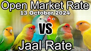 Birds price in karachi pakistan October 13 2024  Open market rate update  Jaal rate update [upl. by Kurtz]