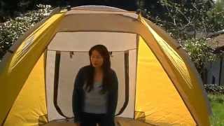 Coleman Beach Tent Setup and Review [upl. by Nowyt237]