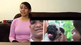 Kaakka Muttai Official Theatrical Trailer Cynthias Reaction Requested by Subscriber [upl. by Biagi]