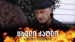 ცხელი ძაღლი  სეზონი 2 სერია 9 [upl. by Acinoev894]