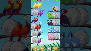 cute birds 🐦 38  bird short game  bird short game shortfeed [upl. by Virgilia512]