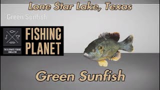 Green Sunfish Lone Star Lake Texas Fishing Planet Guide [upl. by Alyahsal159]