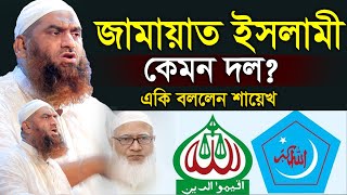 জামায়েত ইসলামী কেমন দল একি বললেন মামুনুল হকের ।। Mamunul Haque ।। নতুন ওয়াজ  2024 [upl. by Nirehtac]