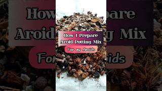 How to Make Aroid Potting Mix  Best Soil Mix for Houseplants shorts ytshortsindia youtubeshorts [upl. by Donny]